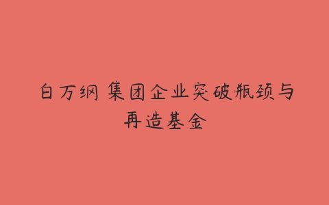 白万纲 集团企业突破瓶颈与再造基金-51自学联盟