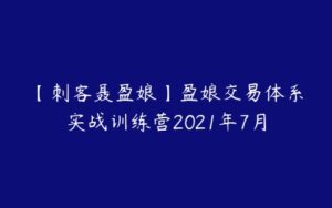 【刺客聂盈娘】盈娘交易体系实战训练营2021年7月-51自学联盟