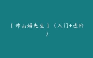 【帅山姆先生】（入门+进阶）-51自学联盟