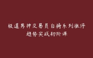 极道男神交易员白骑系列涨停趋势实战初阶课-51自学联盟