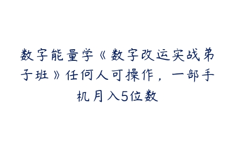 数字能量学《数字改运实战弟子班》任何人可操作，一部手机月入5位数-51自学联盟