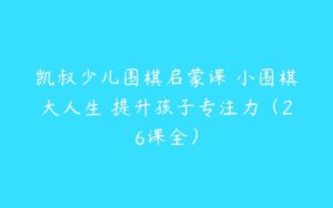 凯叔少儿围棋启蒙课 小围棋大人生 提升孩子专注力（26课全）-51自学联盟