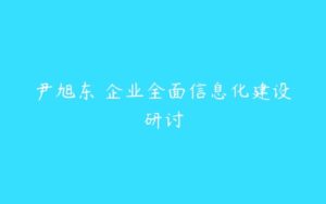 尹旭东 企业全面信息化建设研讨-51自学联盟