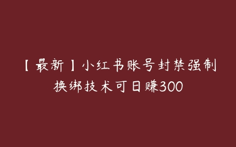 【最新】小红书账号封禁强制换绑技术可日赚300-51自学联盟