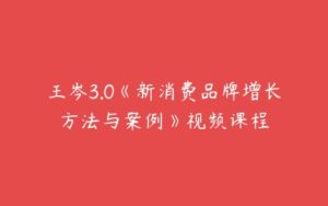 王岑3.0《新消费品牌增长方法与案例》视频课程-51自学联盟