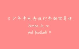 《少年辛巴去纽约参加世界杯Simba Jr. re del football》英文版全26集-51自学联盟