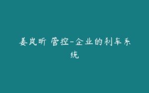 姜岚昕 管控-企业的刹车系统-51自学联盟