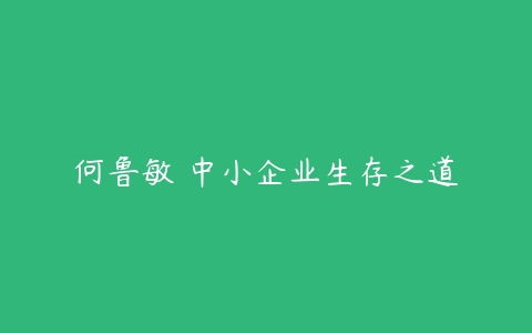 何鲁敏 中小企业生存之道-51自学联盟