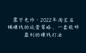 震宇老师·2022年淘宝店铺赚钱的运营策略，一套能够盈利的赚钱打法-51自学联盟