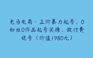 老马电商·正价暴力起号，0粉丝0作品起号实操，微付费稳号（价值1980元）-51自学联盟