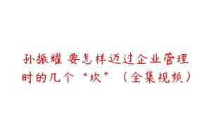 孙振耀 要怎样迈过企业管理时的几个“坎”（全集视频）-51自学联盟