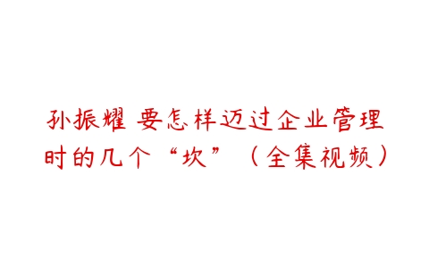 孙振耀 要怎样迈过企业管理时的几个“坎”（全集视频）-51自学联盟