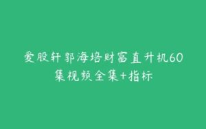 爱股轩郭海培财富直升机60集视频全集+指标-51自学联盟