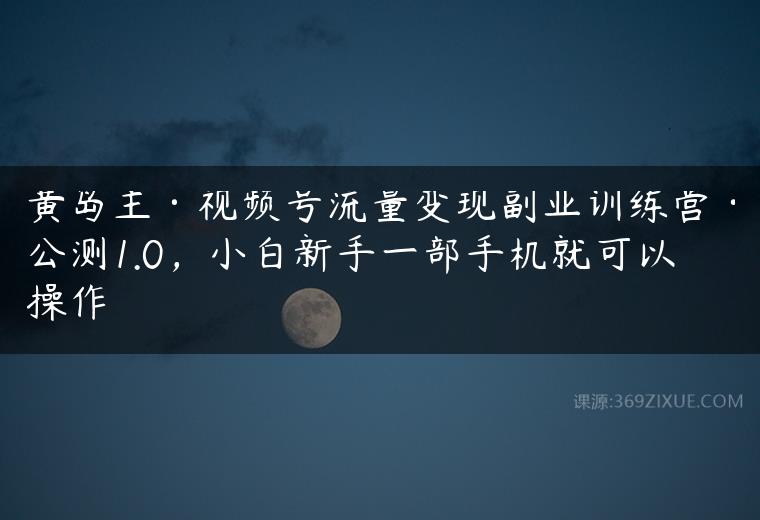 黄岛主视频号流量变现副业训练营公测1.0，小白新手一部手机就可以操作