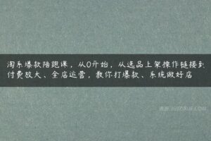 淘系爆款陪跑课，从0开始，从选品上架操作链接到付费放大、全店运营，教你打爆款、系统做好店-51自学联盟