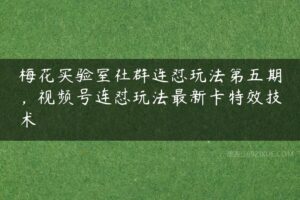 梅花实验室社群连怼玩法第五期，视频号连怼玩法最新卡特效技术-51自学联盟