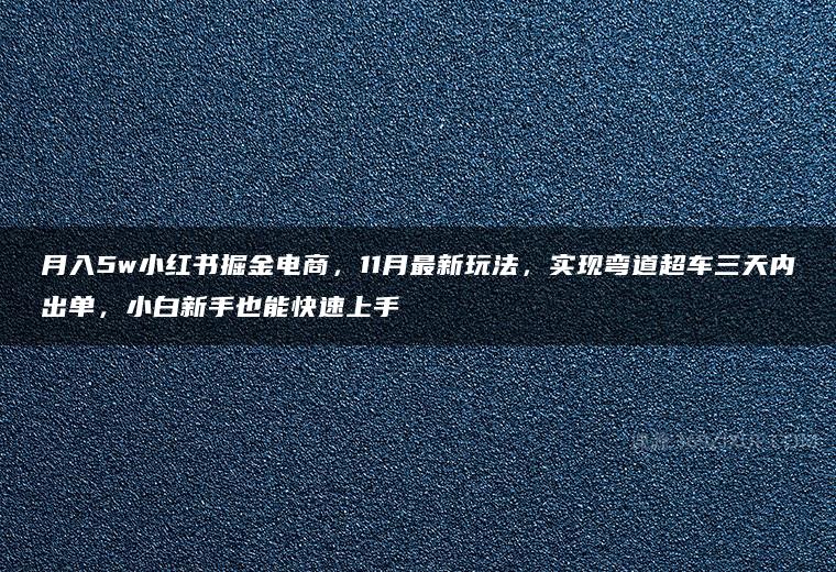 月入5w小红书掘金电商，11月最新玩法，实现弯道超车三天内出单，小白新手也能快速上手-51自学联盟