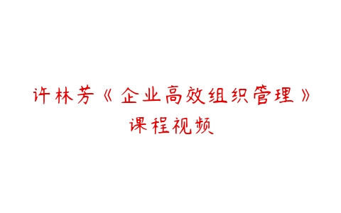 许林芳《企业高效组织管理》课程视频-51自学联盟