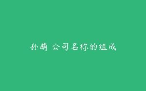 孙萌 公司名称的组成-51自学联盟