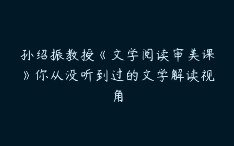 孙绍振教授《文学阅读审美课》你从没听到过的文学解读视角-51自学联盟