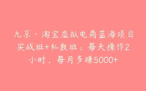 九京·淘宝虚拟电商蓝海项目实战班+私教班：每天操作2小时，每月多赚5000+-51自学联盟