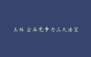 王林 企业竞争力三大法宝-51自学联盟