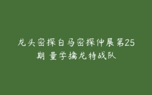 龙头密探白马密探仲展第25期 量学擒龙特战队-51自学联盟