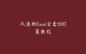 风清扬Excel全套300集教程-51自学联盟