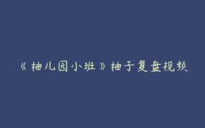 《柚儿园小班》柚子复盘视频-51自学联盟