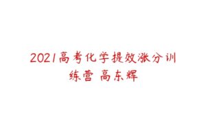 2021高考化学提效涨分训练营 高东辉-51自学联盟