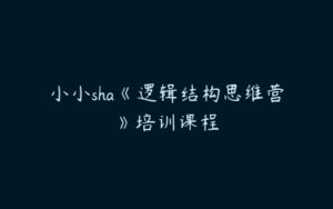 小小sha《逻辑结构思维营》培训课程-51自学联盟