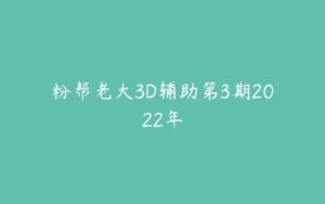 粉帮老大3D辅助第3期2022年-51自学联盟