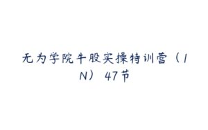 无为学院牛股实操特训营（1N） 47节-51自学联盟