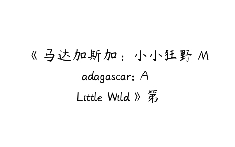 《马达加斯加：小小狂野 Madagascar: A Little Wild》第六七季英语版-51自学联盟