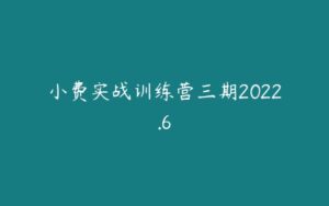 小费实战训练营三期2022.6-51自学联盟