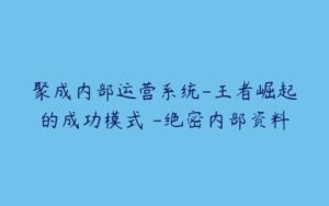 聚成内部运营系统-王者崛起的成功模式 -绝密内部资料-51自学联盟