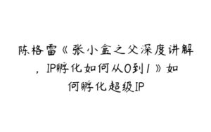 陈格雷《张小盒之父深度讲解，IP孵化如何从0到1》如何孵化超级IP-51自学联盟