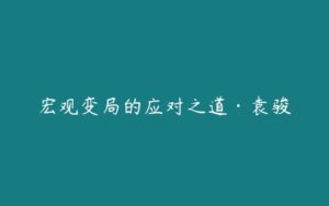 宏观变局的应对之道·袁骏-51自学联盟