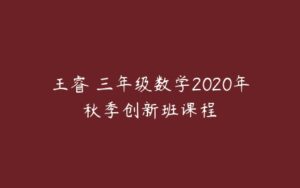 王睿 三年级数学2020年秋季创新班课程-51自学联盟