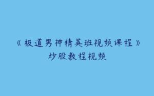 《极道男神精英班视频课程》炒股教程视频-51自学联盟