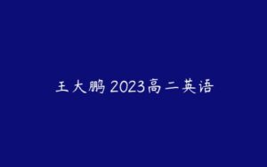 王大鹏 2023高二英语-51自学联盟