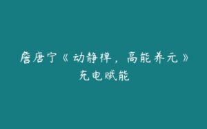 詹唐宁《动静禅，高能养元》充电赋能-51自学联盟