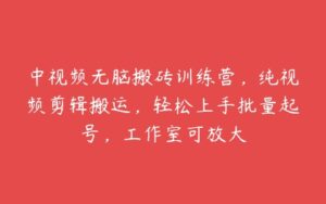 中视频无脑搬砖训练营，纯视频剪辑搬运，轻松上手批量起号，工作室可放大-51自学联盟