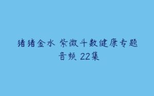 猪猪金水 紫微斗数健康专题 音频 22集-51自学联盟