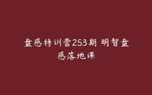 盘感特训营253期 明智盘感落地课-51自学联盟