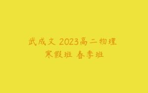 武成文 2023高二物理 寒假班 春季班-51自学联盟