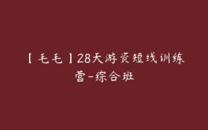 【毛毛】28天游资短线训练营-综合班-51自学联盟