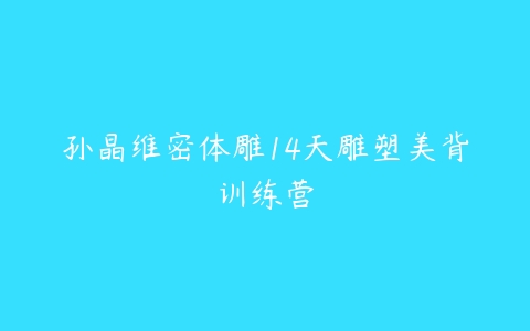 孙晶维密体雕14天雕塑美背训练营-51自学联盟