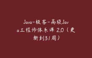 Java-极客-高级Java工程师体系课 2.0（更新到31周）-51自学联盟