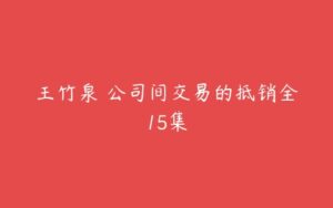 王竹泉 公司间交易的抵销全15集-51自学联盟